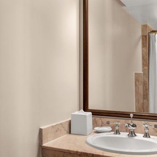 A bathroom features a sink, mirror, tissue box, soap, and amenities on a marble countertop, with a shower and curtain in the background.